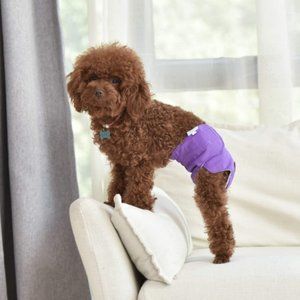 Lot of 3 CuteBone Medium Dog Diapers Female Bundle